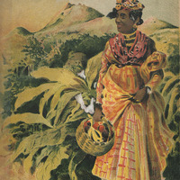 [Couverture de « La Guadeloupe et dépendances »]