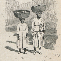 En route pour le Marché