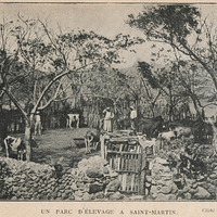 Un parc d'élevage a Saint-Martin