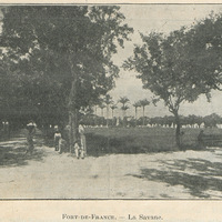 Fort-de-France. - La Savane