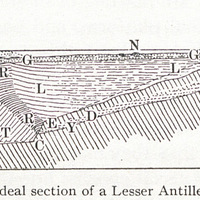 Fig. I — Ideal section of a Lesser Antillean bank