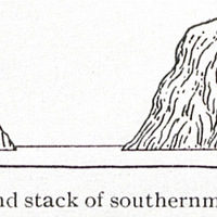 Fig. 24 — Cliff and stack of southernmost Martinique.