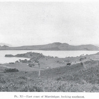 PL. XI — East coast of Martinique, looking southeast.