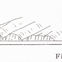 Fig. 31 — The low cliffs of the mid-west coast, St. Lucia.