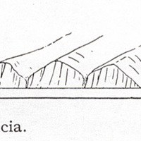 Fig. 31 — The low cliffs of the mid-west coast, St. Lucia.