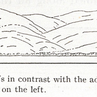 Of the low headland cliffs in contrast with the advanced maturity of the is seen at the bay head on…