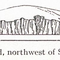 Fig. 48 — Cockroach Island, northwest of St. Thomas, looking north.