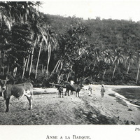 Anse a la barque.