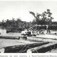 Arrivée de bois flottes, à Saint-Laurent-du-Maroni.