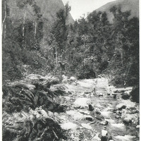 Les pitons du carbet et la rivière de l'Alma.