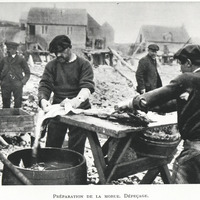 Préparation de la morue. Dépeçage.