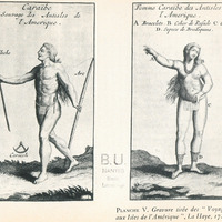 Planche V. Gravure tirée des “Voyages aux Isles de l'Amérique”, La Haye, 1724.