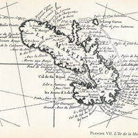 Planche VII. L'île de la Martinique.