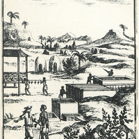 Planche XIV. Une indigoterie aux Antilles. Gravure du XVIIe siècle.