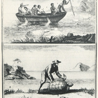 Planche XV. La pêche des tortues chez les Caraïbes et la manière de les retourner Gravure du XVIIIe…