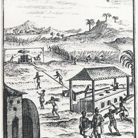 Planche IX. Une sucrerie aux Antilles. Gravure du XVIIe siècle.