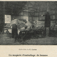Un magasin d'emballage de banane