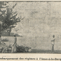 L'embarquement des régimes à l'Anse-à-la-Barque