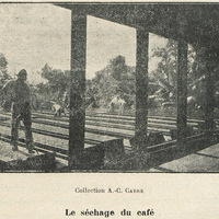 Le séchage du café