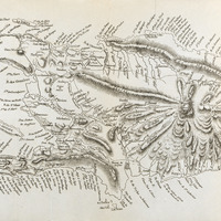 [Carte de Saint Domingue]