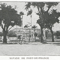 Savane de Fort-de-France