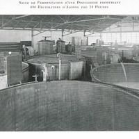 Salle de fermentation d'une distillerie produisant 400 hectolitres d'alcool par 24 heures