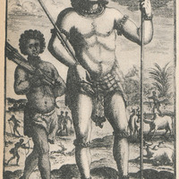 Grand de Madagascar. Gravure du XVIIeme siècle
