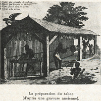 La préparation du tabac (d'après une gravure ancienne).