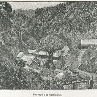 Paysage à la Martinique