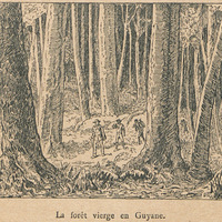 La descente du Yari