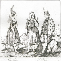 Cauchoise, Poletais