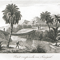 Pont suspendu au Sénégal