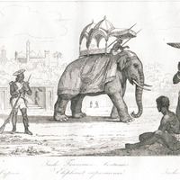 Inde française. Costumes. Cypaie. Eléphant caparaçonné. Indiens