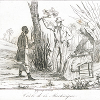 Créole de la Martinique