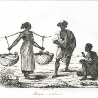 Nègres esclaves