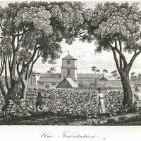 Une habitation