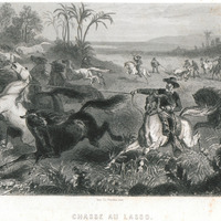 Chasse au lasso