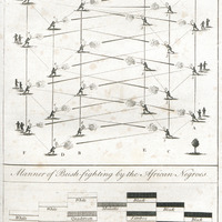 Manner of bush fighting by the African Negroes, Gradation of shades between Europe and Africa