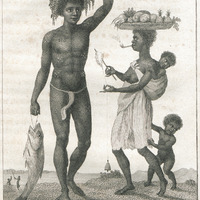 Musical instruments of the African Negroes.
