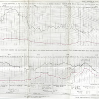 A chart exhibiting at one view the fluctuations in the prices of British colonial & foreign sugar,…