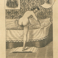 Pl. C.— Anglaise