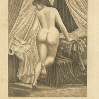 Pl. D.— Hongroise