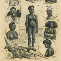 Pl. K.— 1. Ouled-Nail. 2. Abyssinienne. 3. Congolaise. 4. Femme de Madagascar. 5. Femme bambaras…