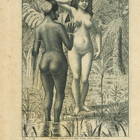 Pl. R.— Créole et négresse