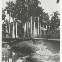 Paisaje en la Provincia de Pinar del Río