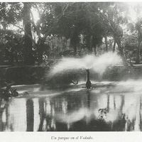 Un parque en el Vedado