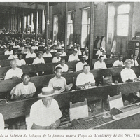 Una sala de la fábrica de tabacos de la famosa marca Hoyo de Monterrey de los Srs Torres y Gener