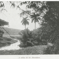 A orillas del río Almendares