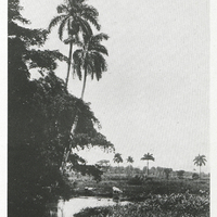 Paisaje en la provincia de Pinar del Río