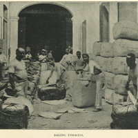 Baling tobacco